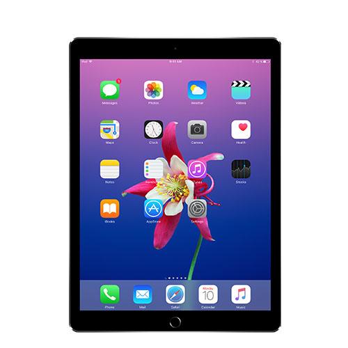 iPad Pro 10.5" 256GB WiFi + 4G LTE (Unlocked)